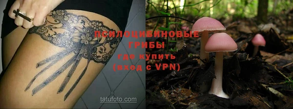 ГАЛЛЮЦИНОГЕННЫЕ ГРИБЫ Верхний Тагил
