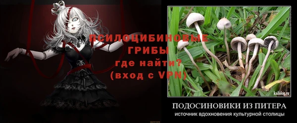 ГАЛЛЮЦИНОГЕННЫЕ ГРИБЫ Верхний Тагил