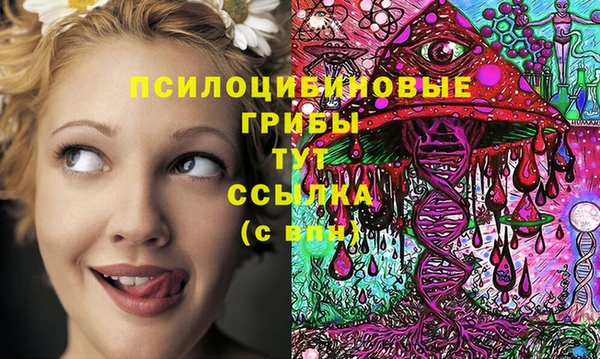 ГАЛЛЮЦИНОГЕННЫЕ ГРИБЫ Верхний Тагил